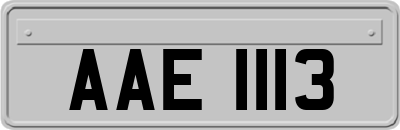 AAE1113