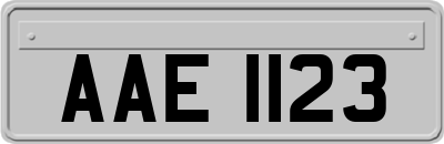 AAE1123