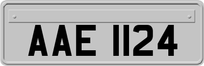 AAE1124