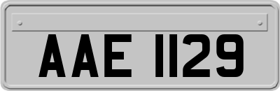 AAE1129