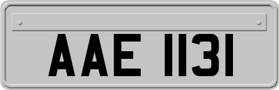 AAE1131