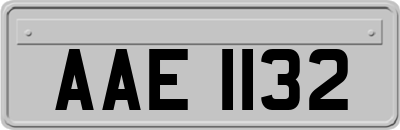 AAE1132