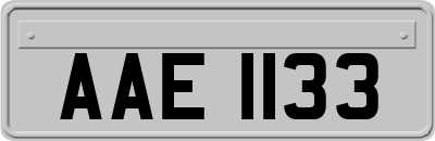 AAE1133