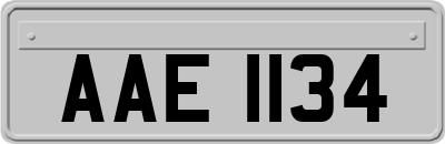 AAE1134