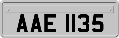 AAE1135