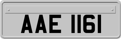 AAE1161