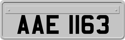 AAE1163