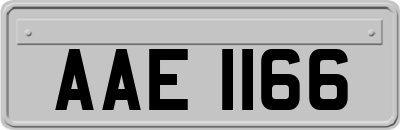 AAE1166