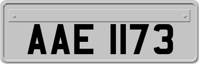 AAE1173