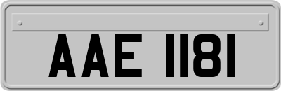 AAE1181