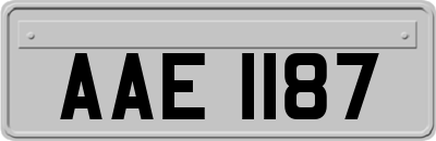 AAE1187