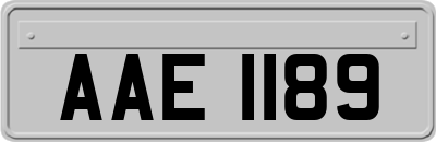 AAE1189