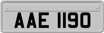 AAE1190