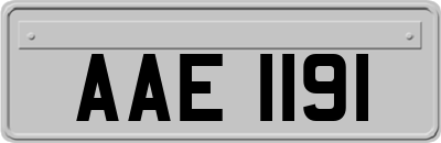 AAE1191