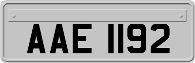 AAE1192