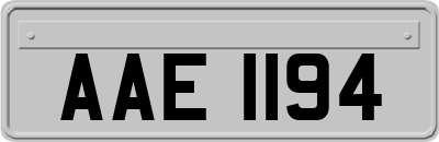 AAE1194