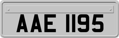 AAE1195