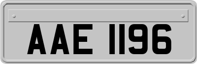 AAE1196