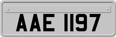 AAE1197