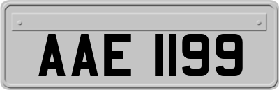 AAE1199