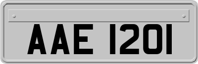 AAE1201