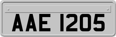 AAE1205