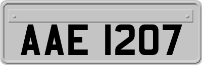 AAE1207