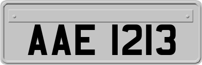 AAE1213