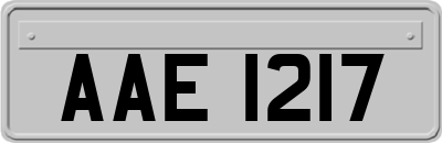 AAE1217