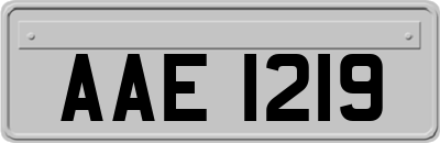 AAE1219