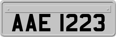 AAE1223