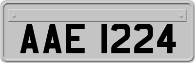 AAE1224