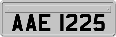 AAE1225