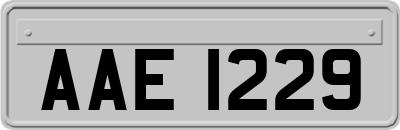 AAE1229