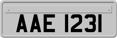 AAE1231