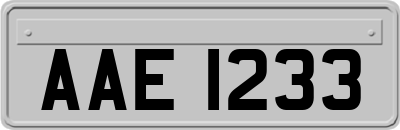 AAE1233