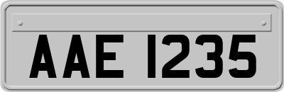 AAE1235