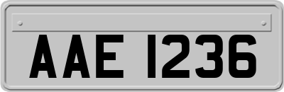 AAE1236