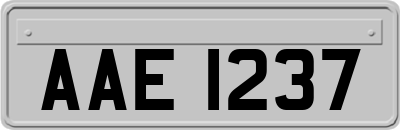 AAE1237