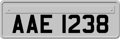 AAE1238