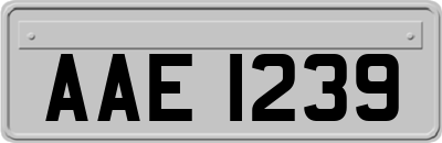 AAE1239