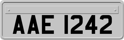 AAE1242