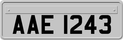 AAE1243