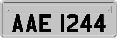 AAE1244