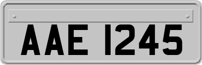 AAE1245