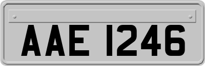 AAE1246