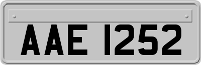 AAE1252