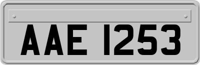 AAE1253