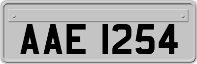 AAE1254