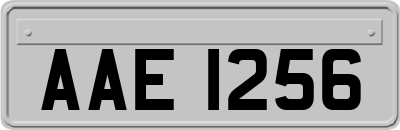 AAE1256